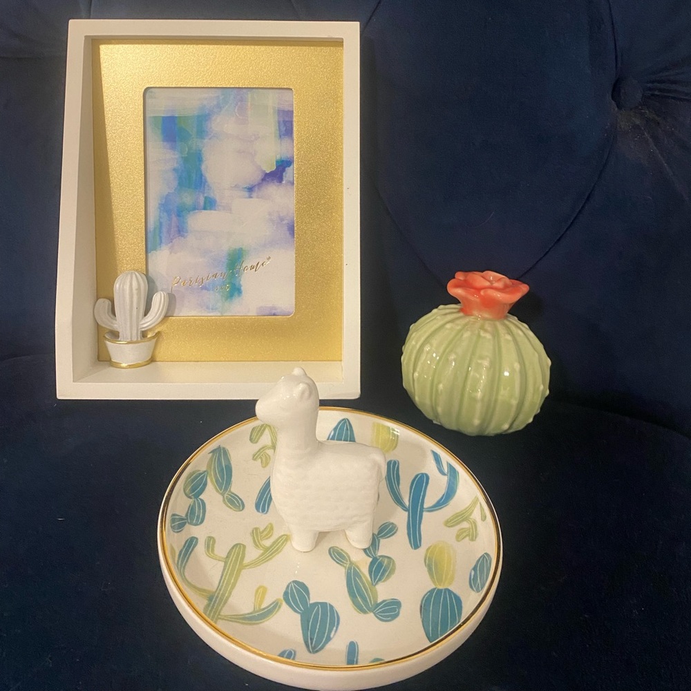 Cactus home decorations